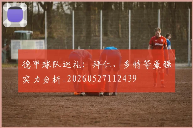 德甲球队巡礼：拜仁、多特等豪强实力分析_20260527112439