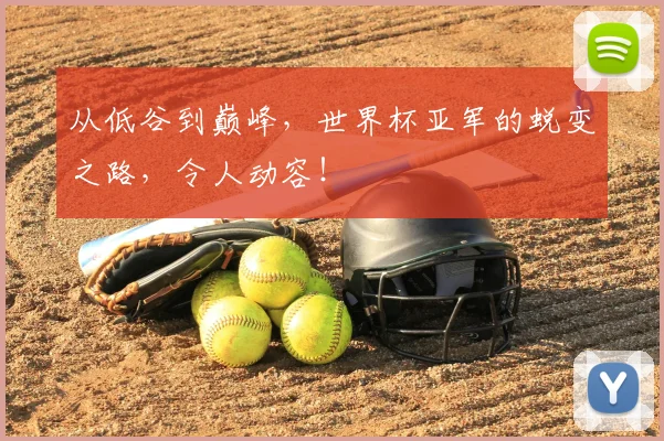 从低谷到巅峰，世界杯亚军的蜕变之路，令人动容！
